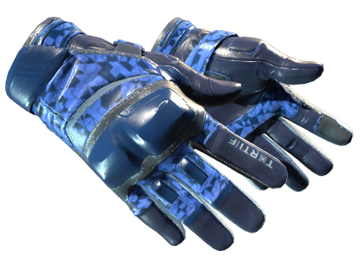 ★ Moto Gloves | Polygon Field-Tested