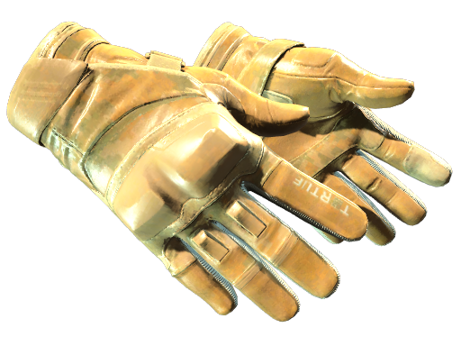 ★ Moto Gloves | Transport Field-Tested