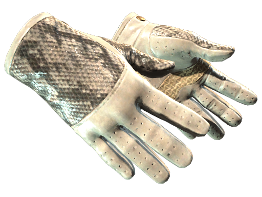 ★ Driver Gloves | King Snake Field-Tested
