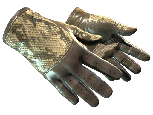 ★ Driver Gloves | Diamondback Field-Tested
