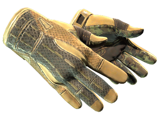 ★ Sport Gloves | Arid Battle-Scarred