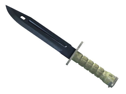 ★ Bayonet | Blue Steel Field-Tested