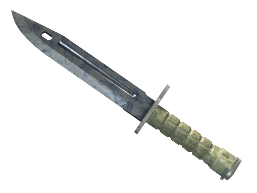 ★ Bayonet | Stained Field-Tested