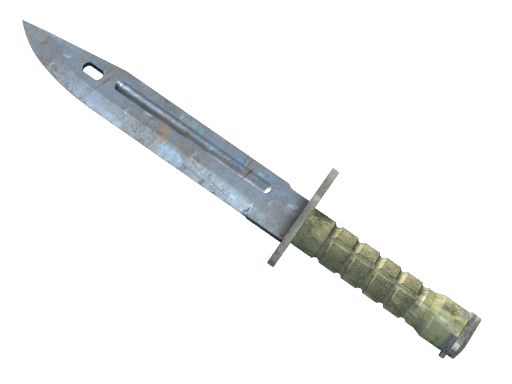 ★ Bayonet | Rust Coat Battle-Scarred