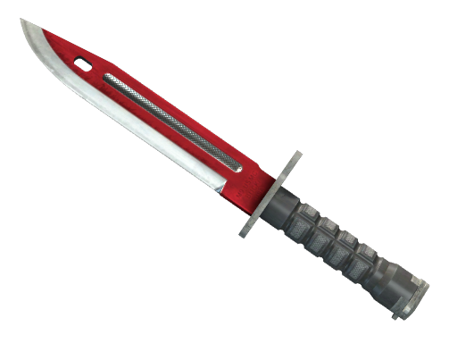 ★ Bayonet | Autotronic Battle-Scarred