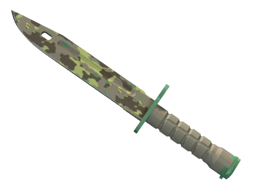 ★ Bayonet | Boreal Forest Battle-Scarred