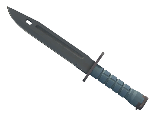 ★ Bayonet | Night Field-Tested