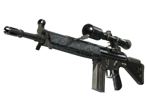 G3SG1 | Murky Field-Tested