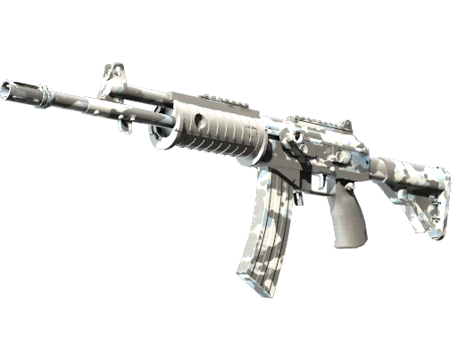 Galil AR | Winter Forest Field-Tested