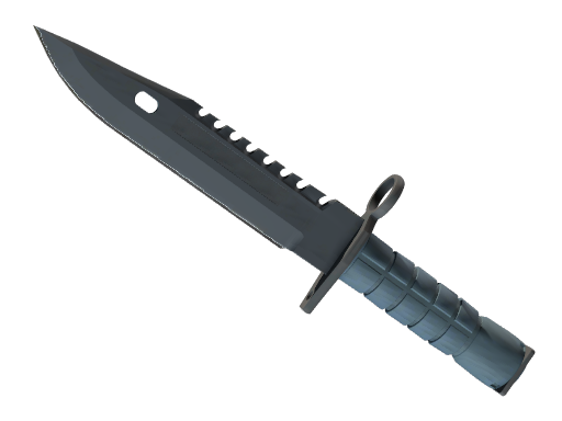 ★ M9 Bayonet | Night Battle-Scarred