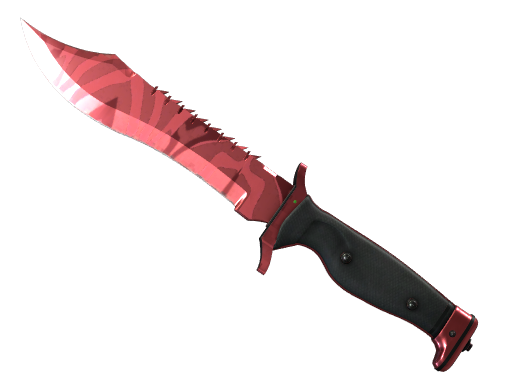 ★ Bowie Knife | Slaughter Field-Tested