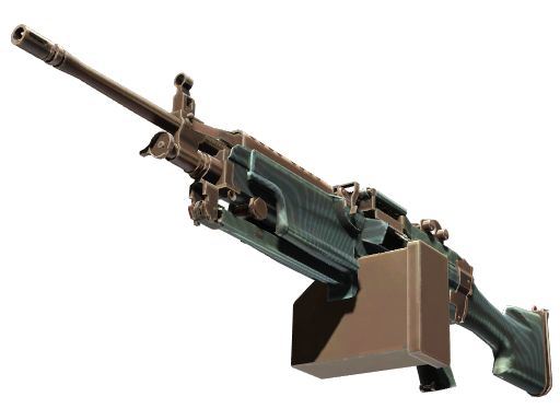 M249 | Submerged Battle-Scarred