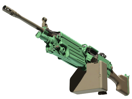 M249 | Jungle Battle-Scarred