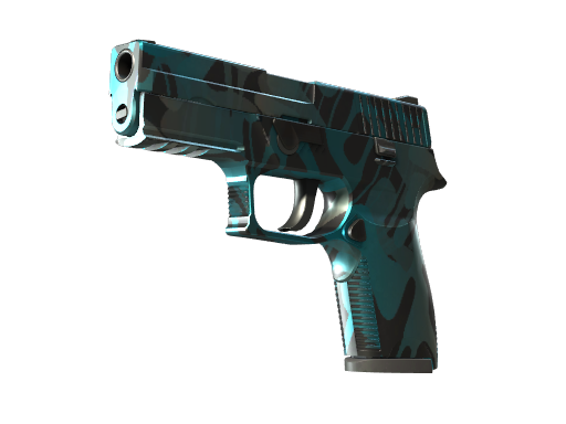 P250 | Ripple Field-Tested