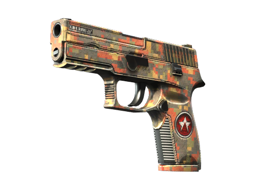 P250 | Red Rock Battle-Scarred