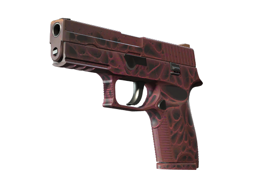 P250 | Contaminant Battle-Scarred