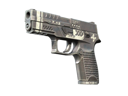 P250 | Re.built Field-Tested