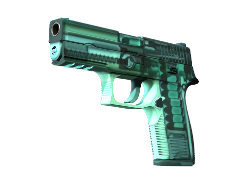 P250 | X-Ray Field-Tested