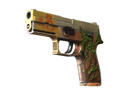 P250 | Inferno Field-Tested