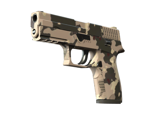 P250 | Black & Tan Battle-Scarred
