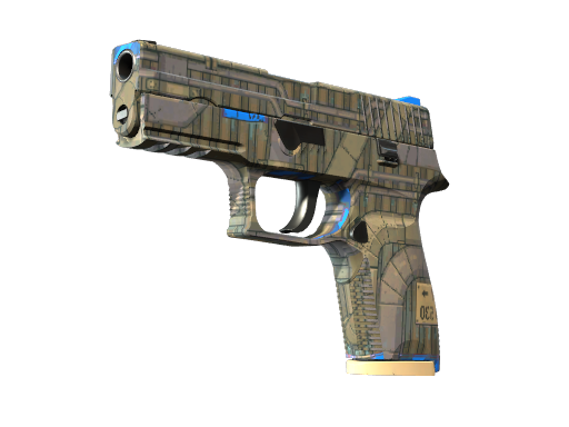 P250 | Exchanger Battle-Scarred