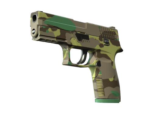 P250 | Boreal Forest Field-Tested