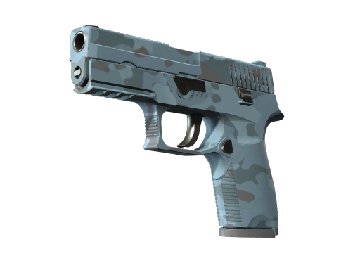 P250 | Forest Night Battle-Scarred