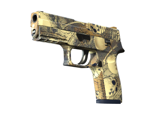 P250 | Contamination Field-Tested