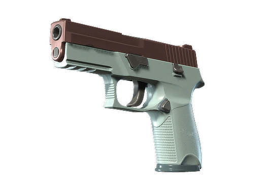 P250 | Copper Oxide Field-Tested