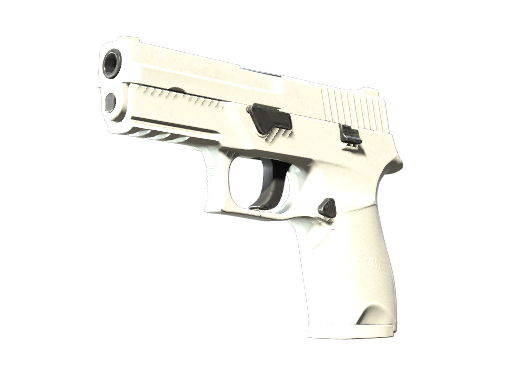 P250 | Whiteout Field-Tested