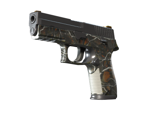 P250 | Small Game Battle-Scarred