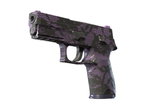 P250 | Plum Netting Field-Tested