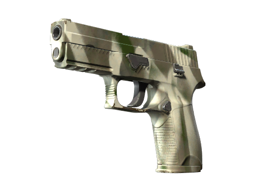 P250 | Bone Mask Field-Tested
