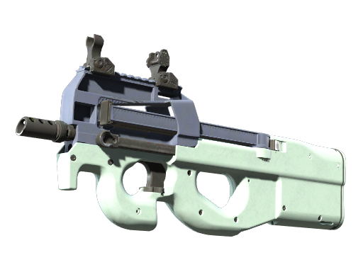 P90 | Storm Battle-Scarred