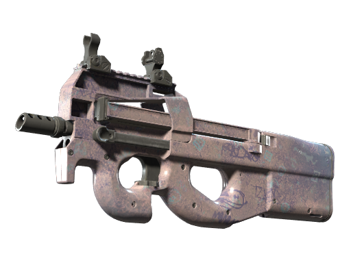 P90 | Wash me Field-Tested