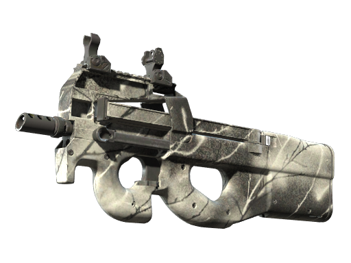 P90 | Ash Wood Field-Tested