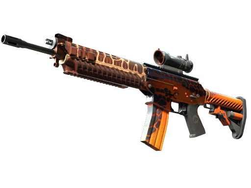 SG 553 | Tiger Moth Field-Tested