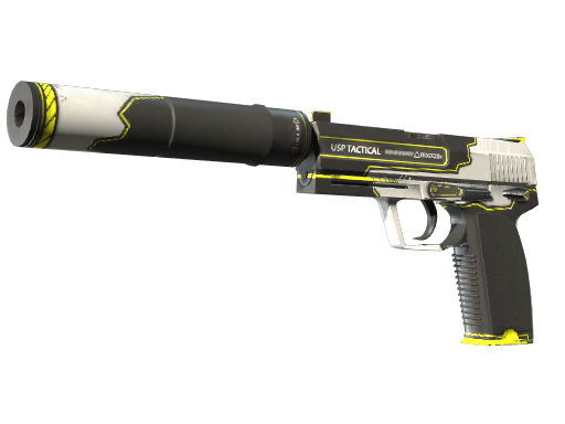 USP-S | Torque Battle-Scarred